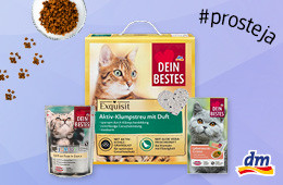 dm drogerie markt s.r.o. - Mňau všichni