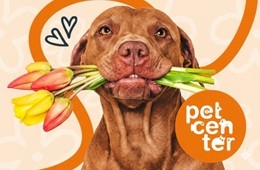 Pet Center - Jaro s chutí a láskou